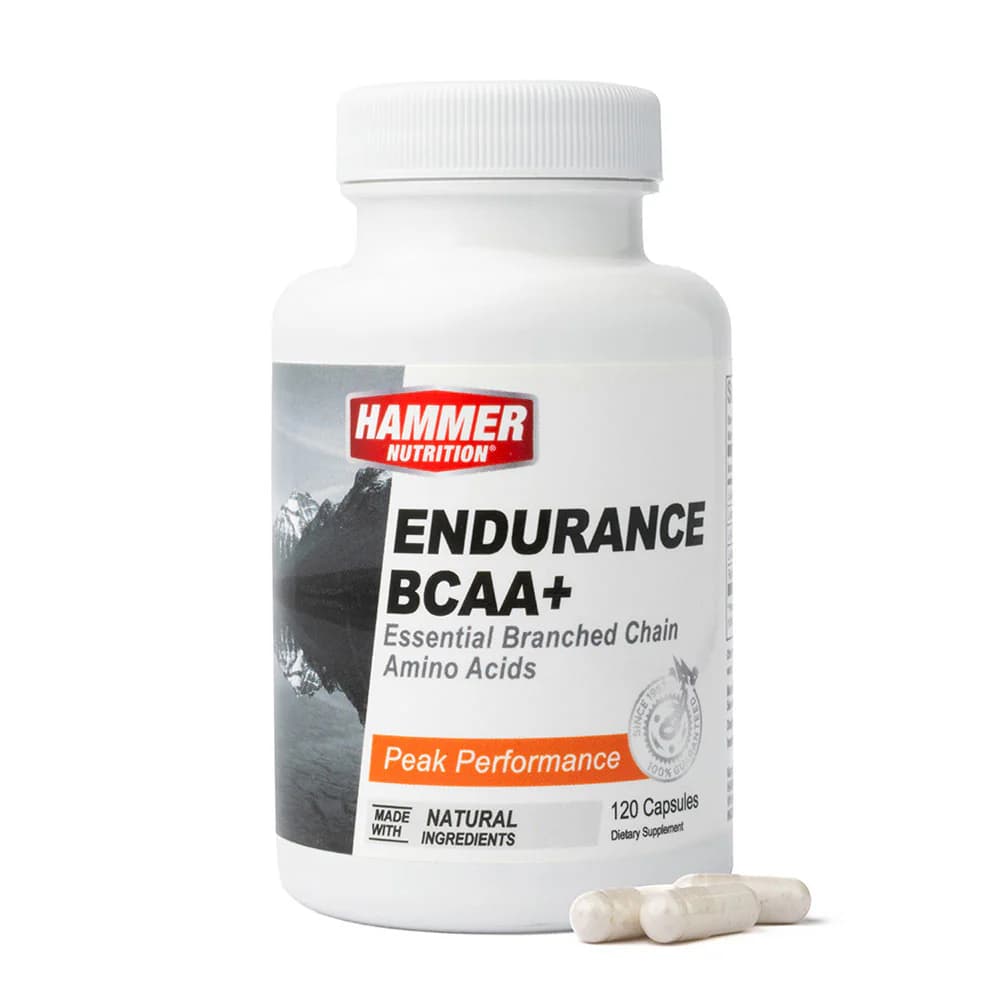 ENDURANCE BCAA+